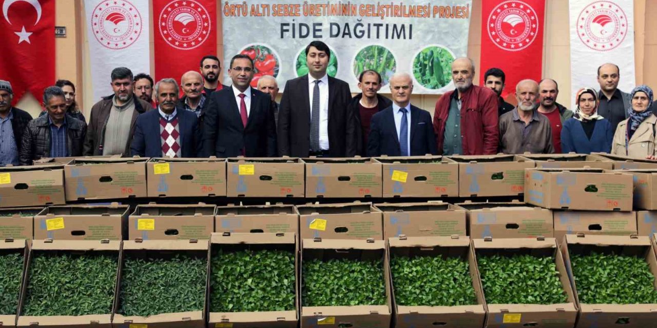Gümüşhane’den 195 bin sebze fidesi toprakla buluşacak