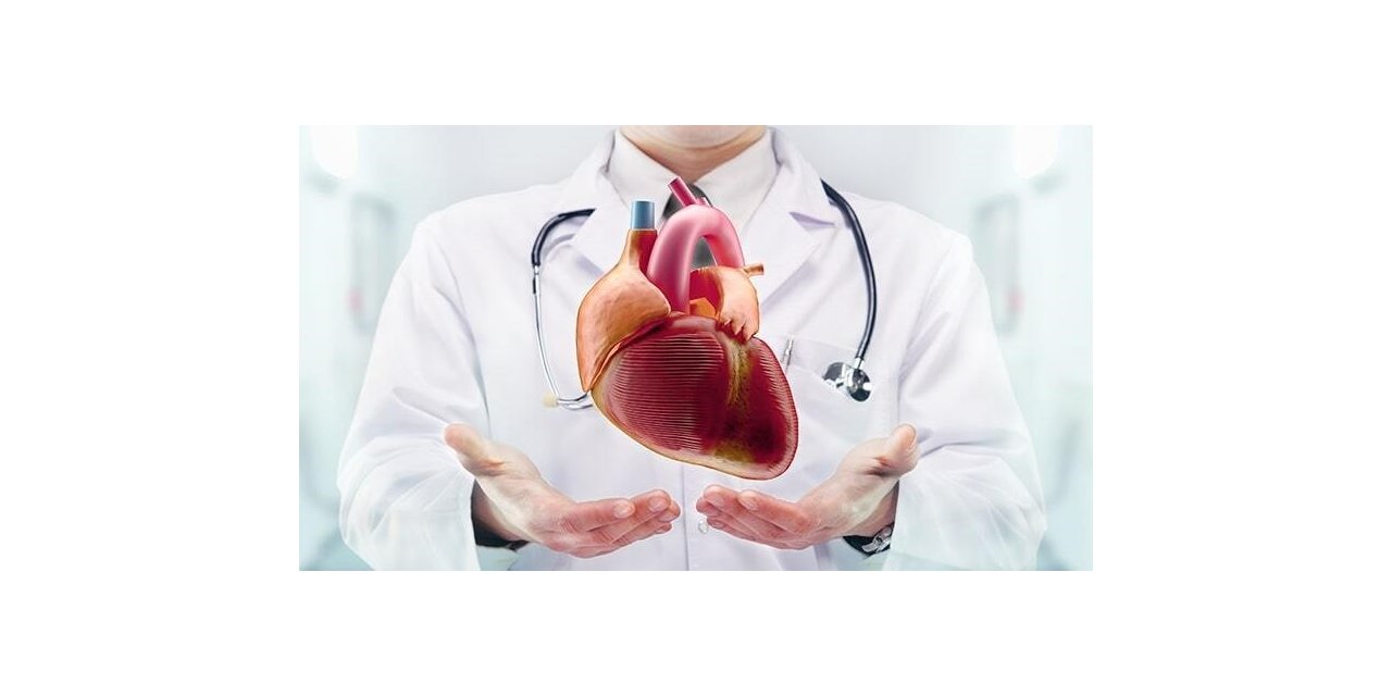 Kontrollü yaşamla kalp hastalıklarından korunun