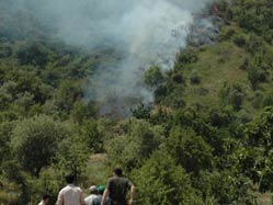 Derebucak’ta orman yangını