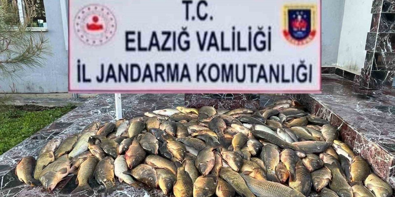 Elazığ’da kaçak balık avı yapan 3 şahsa, 49 bin lira ceza
