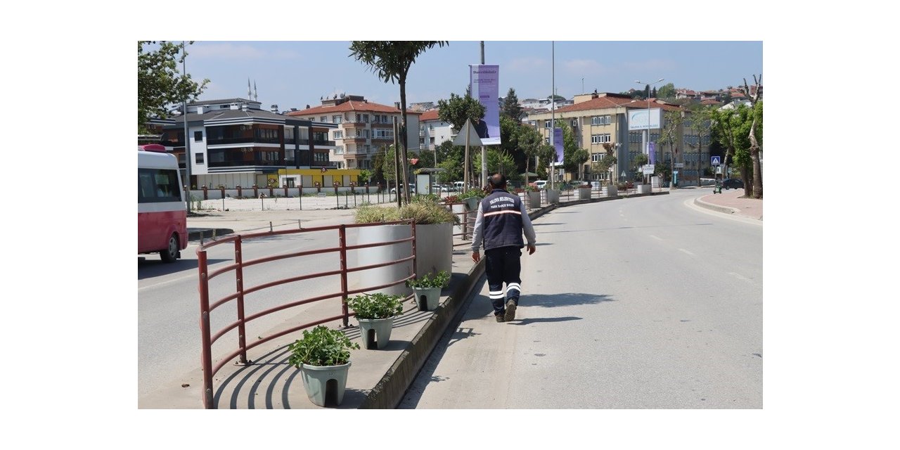 Yalova Belediyesi’nden çiçeklendirme çalışması