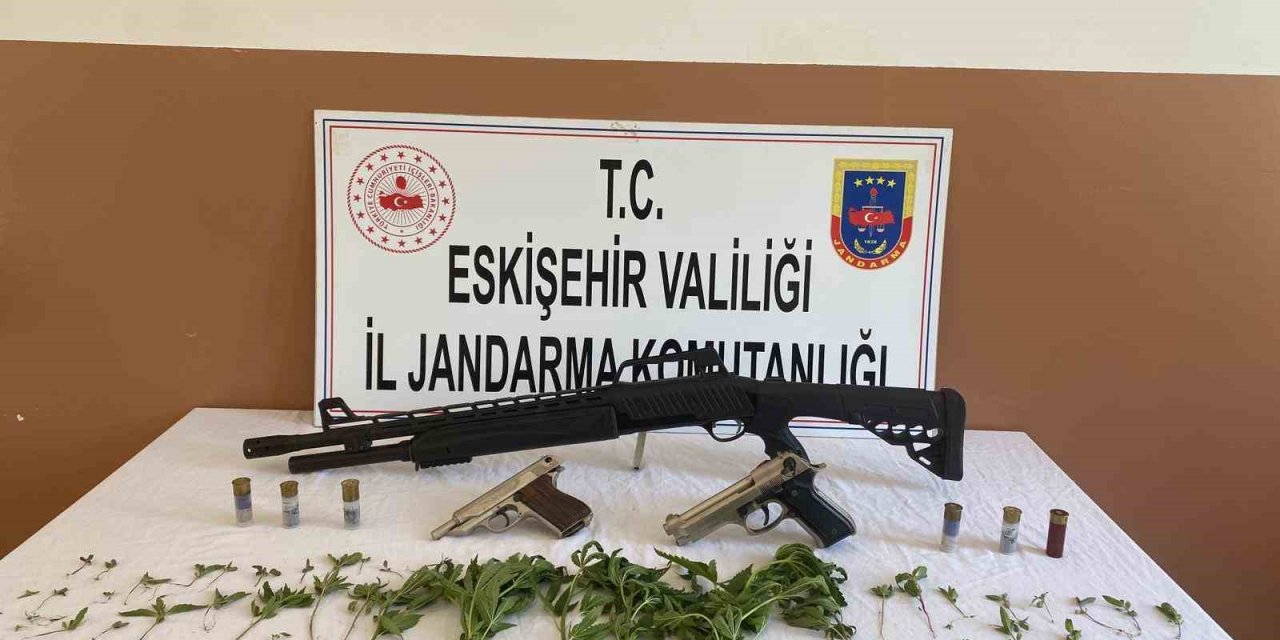 Yasa dışı esrar yetiştiren şahsın evine jandarmadan operasyon