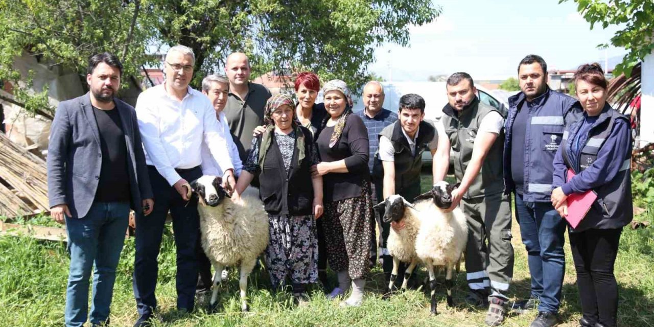 Başkan Çerçioğlu’ndan koyunları telef olan üretici kadına destek