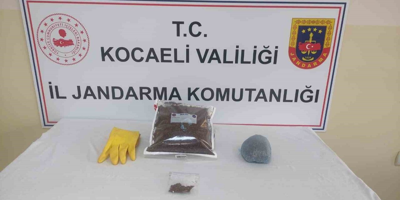 Şüphelinin evinde yapılan operasyonda bonzai ele geçirildi