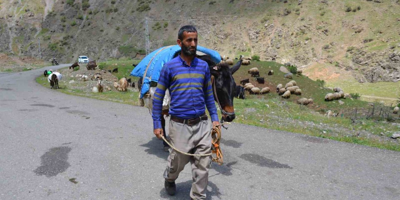 Şırnak’ta göçerler yaylaya ulaştı
