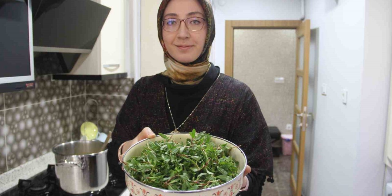 Yol kenarında yetişiyor, kanseri önlüyor