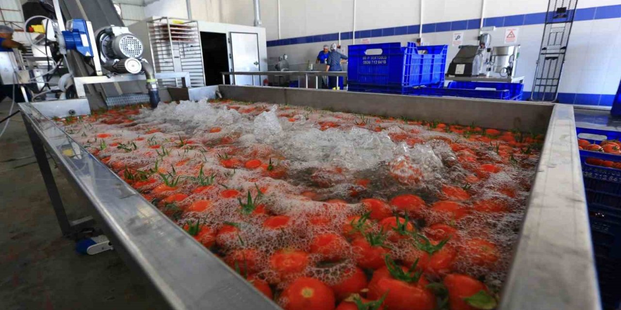 Muğla’nın ürünleri bu tesiste değerine değer katıyor