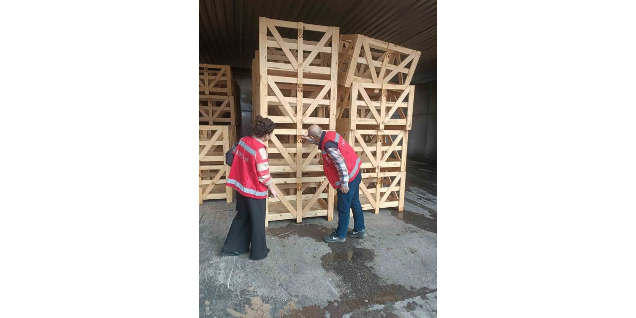 Isıl işlem fırınlarına yönelik denetim