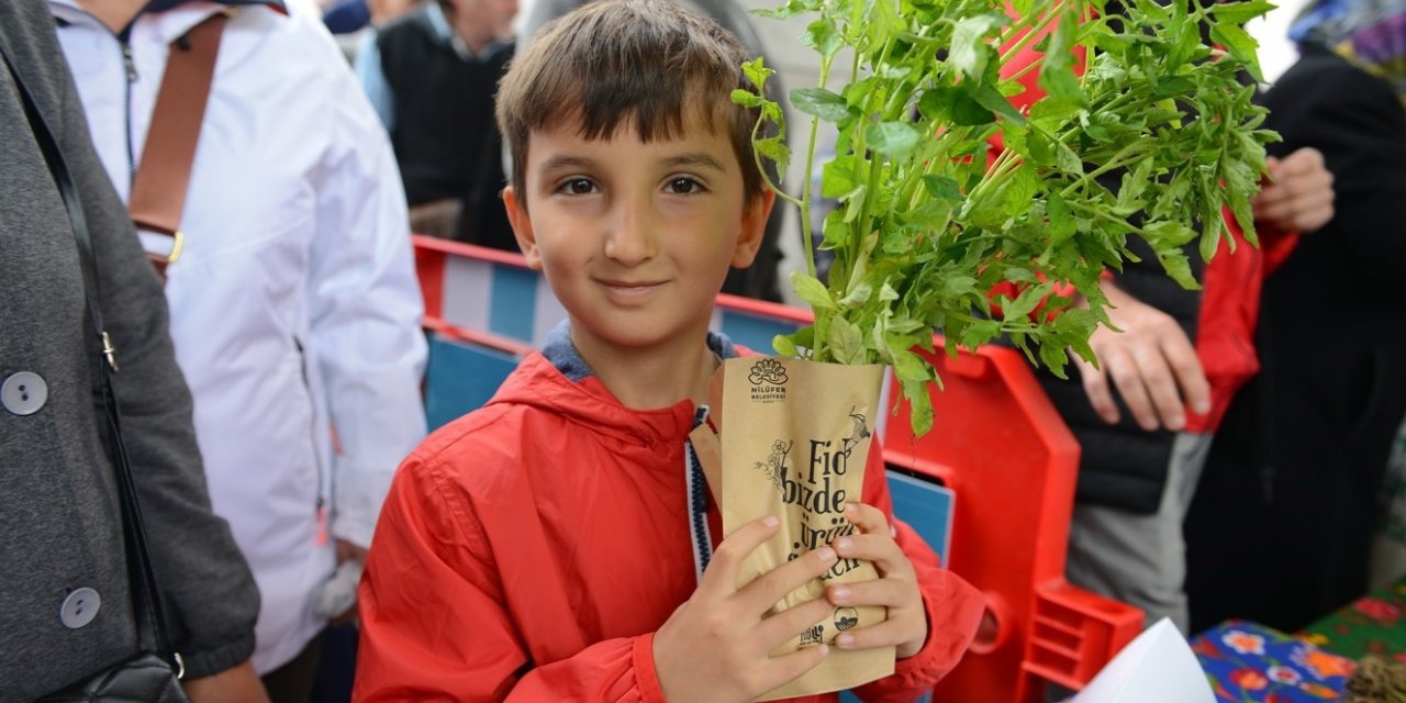 Nilüfer’de balkon tarımı fidelerle yaygınlaşıyor