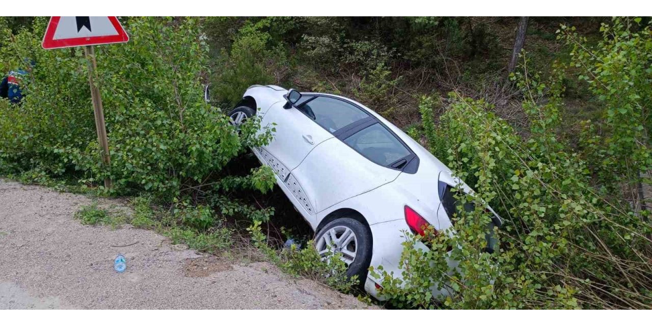 Kontrolden çıkan otomobil ağaca çarptı : 2 yaralı