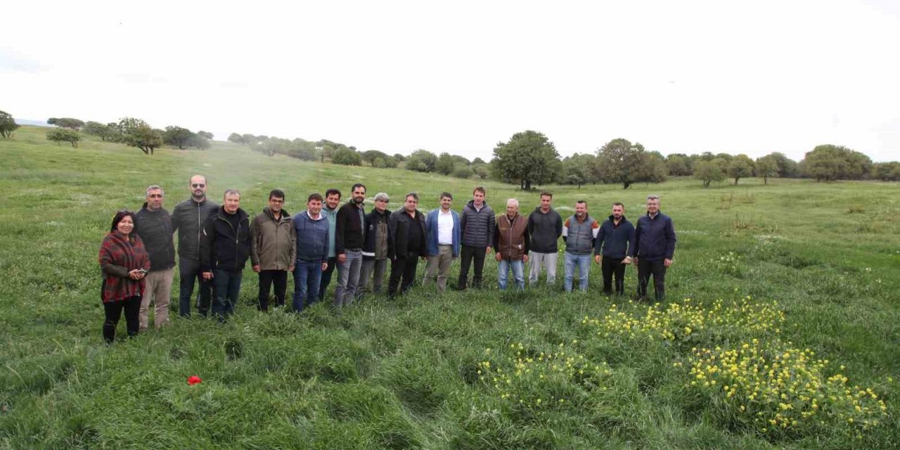 Gökçeada’da 4150 dekarlık mera otlatmaya açıldı