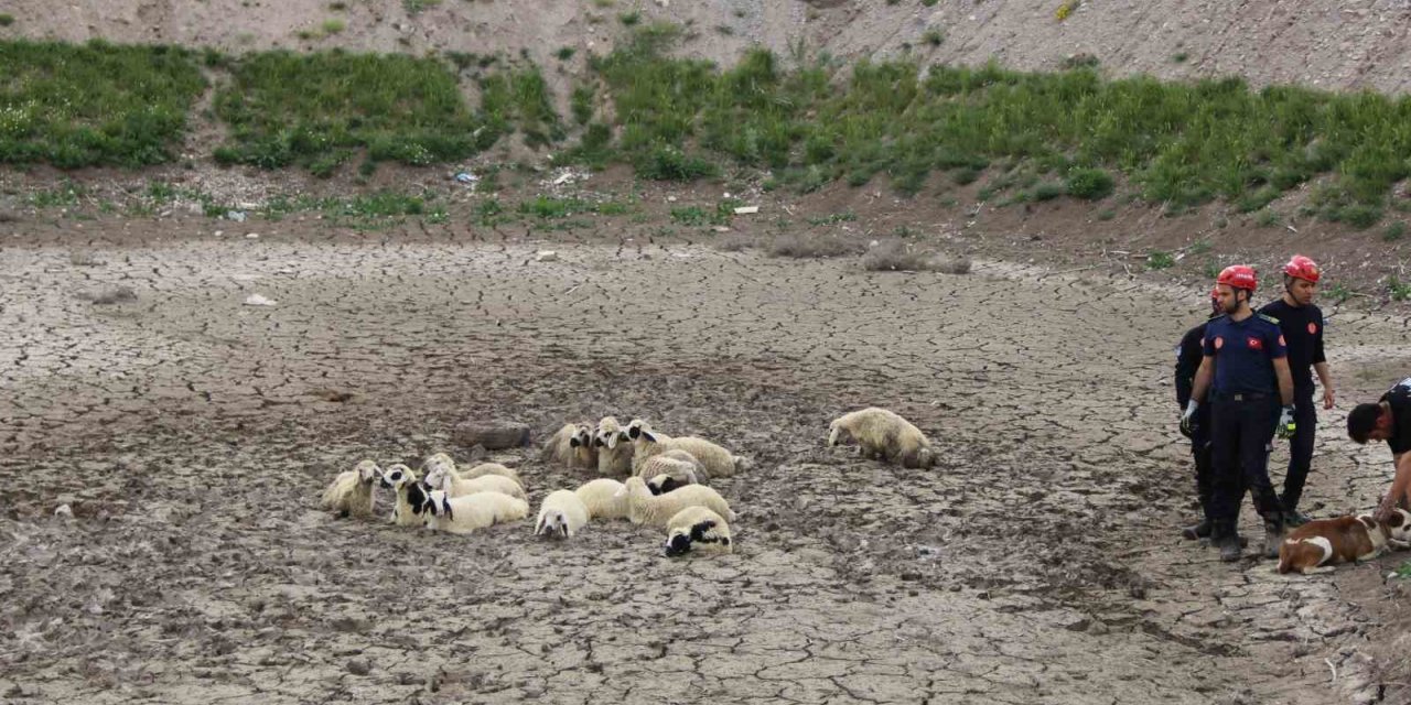 Büyükşehir İtfaiyesi’nden bataklıkta 2 saatlik koyun kurtarma operasyonu