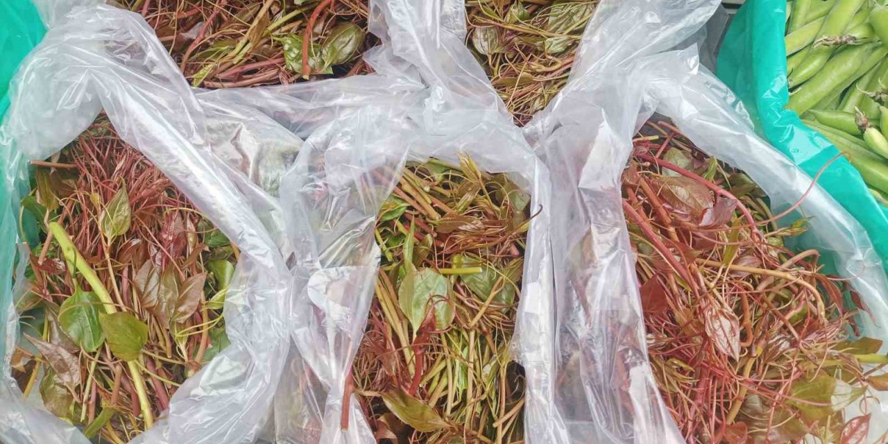 Dikenle gelen lezzet