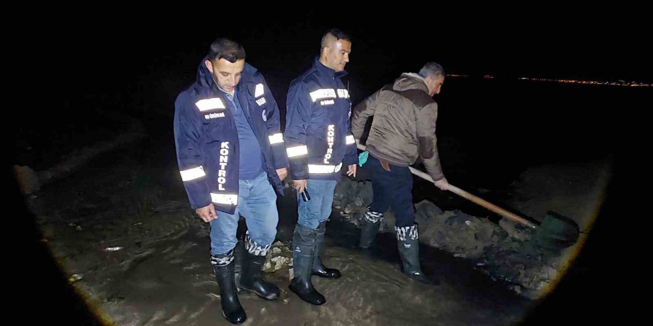 Van’da 2 ton inci kefali kurtarıldı