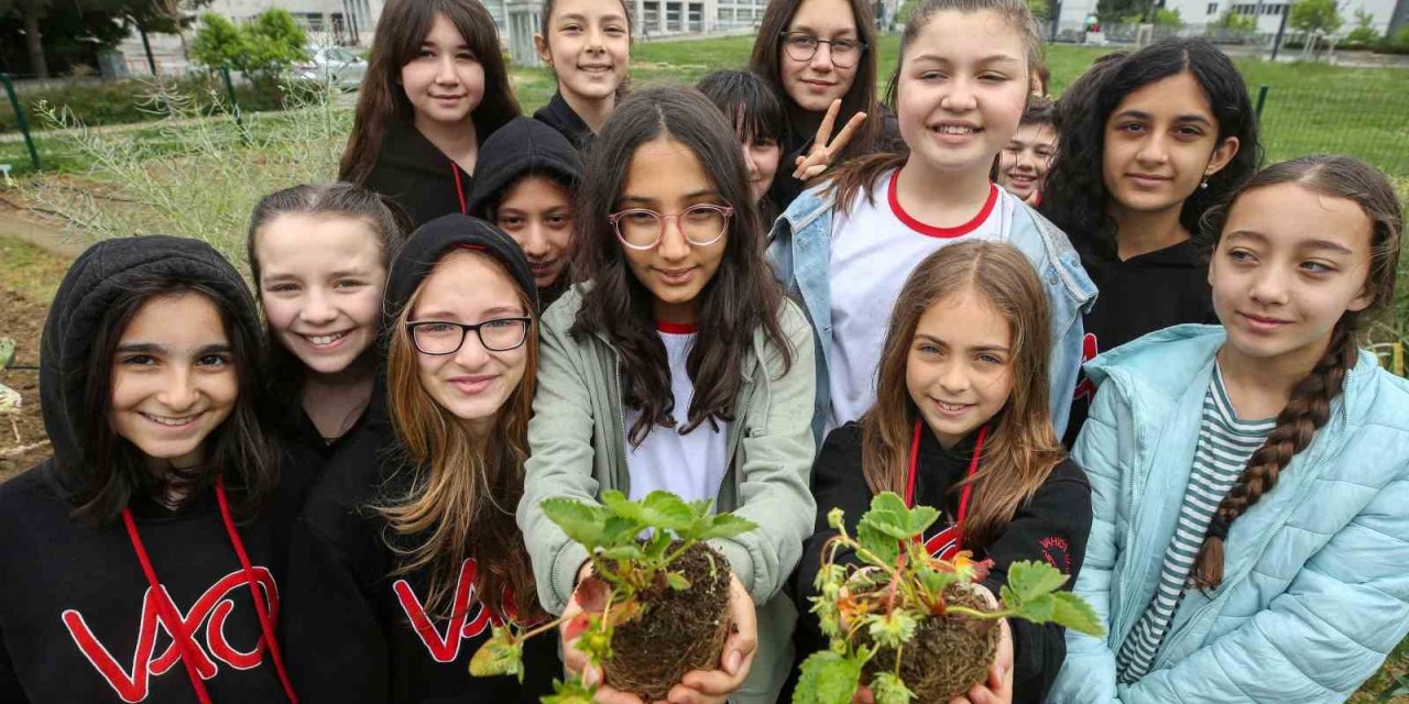Nilüfer’de öğrenciler Mini Bostan’da fide dikti