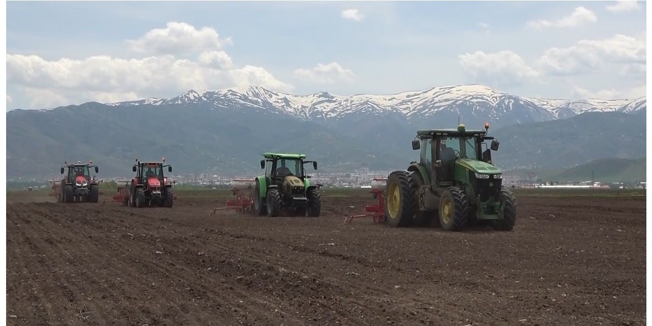 500 bin ton şeker pancarından 2 milyar TL gelir bekleniyor