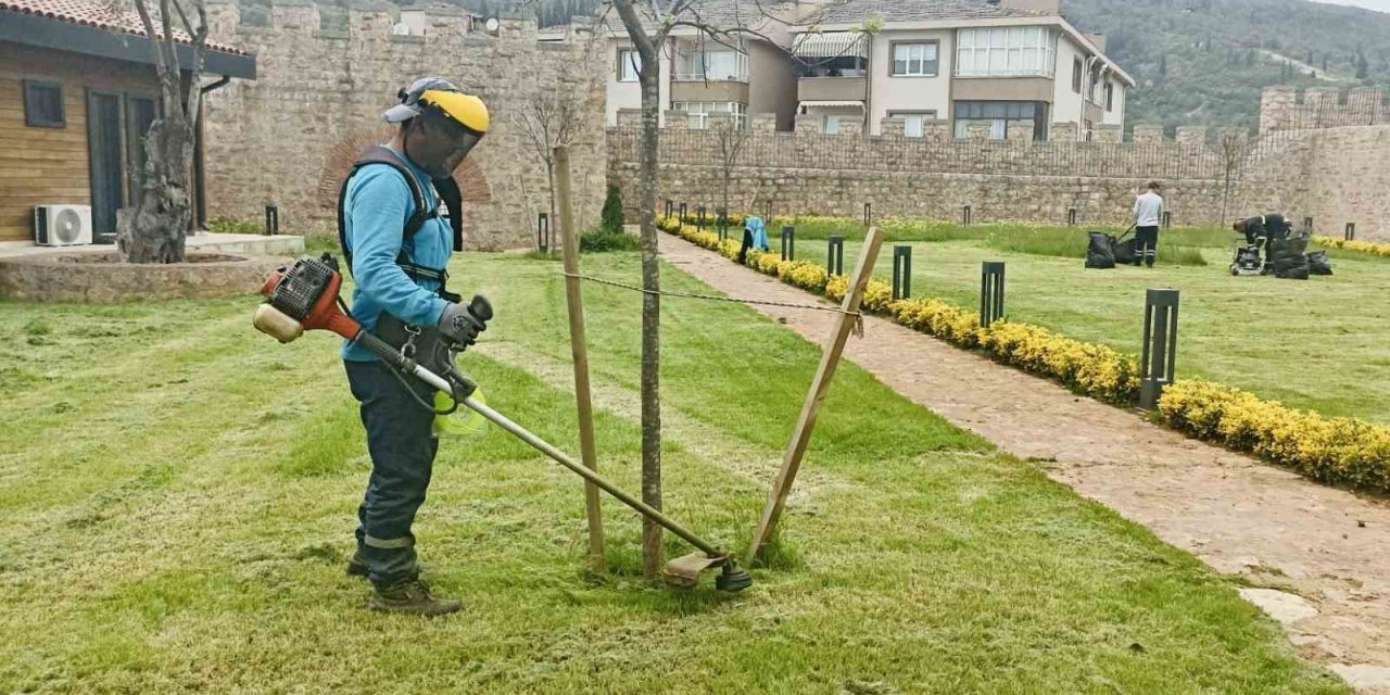 Körfez’de yabani otlar temizleniyor