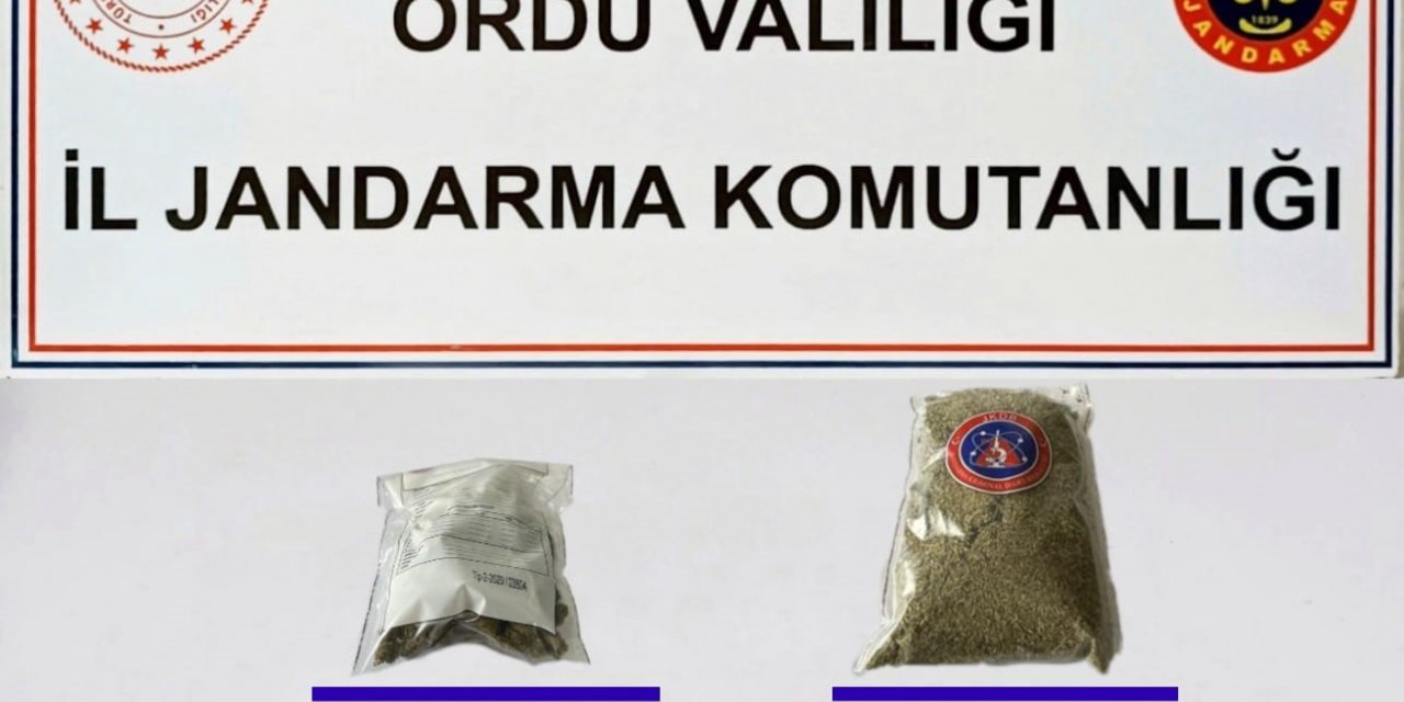 Ordu’da uyuşturucu operasyonu: 2 gözaltı