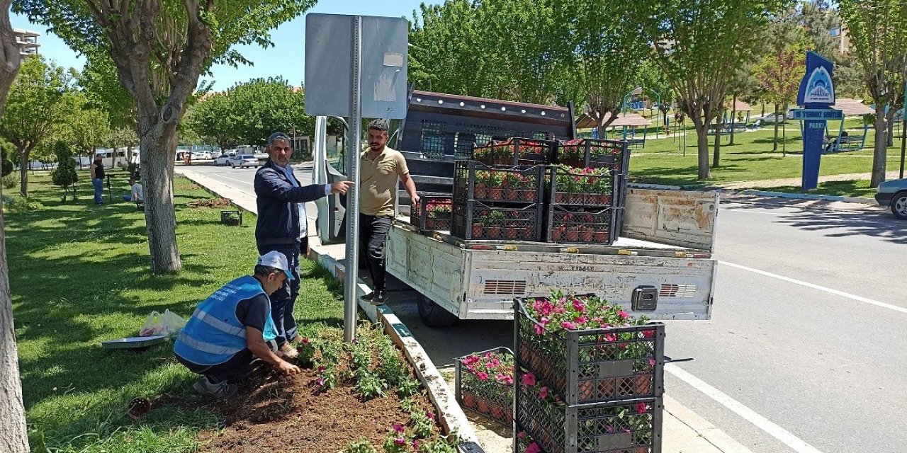 Eyyübiye parkları çiçeklerle renkleniyor