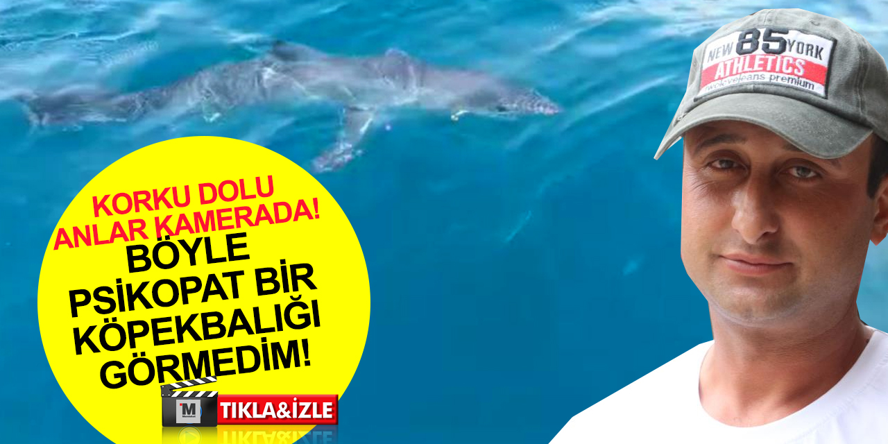 Konyaaltı'nda korku dolu anlar! Köpekbalığından balıkçı teknesine taciz üstüne taciz