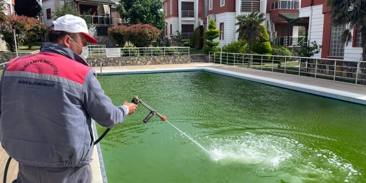 Sinek ve haşeresiz yaz için ilaçlama çalışmaları hız kazandı