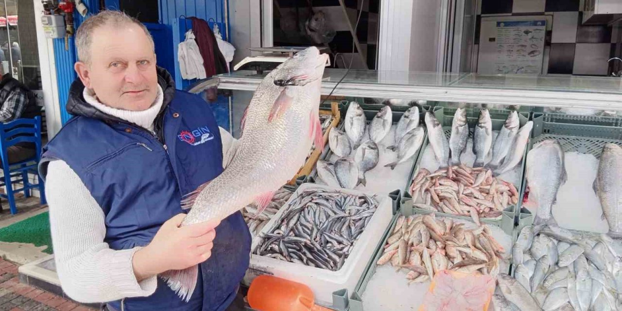 Minekop bağlığı kilosu 250 TL’den tezgahta yerini aldı