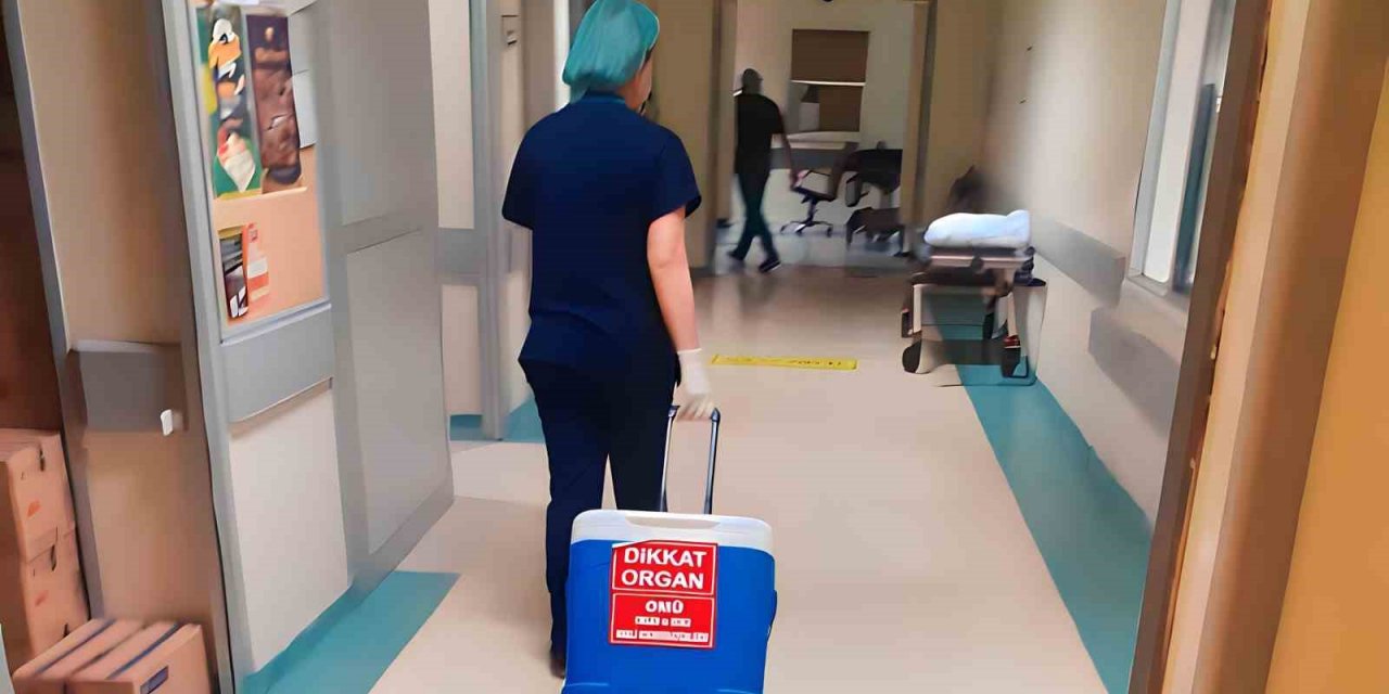 Merdivenden düşerek ölen şahıs organlarıyla 3 kişiye umut oldu