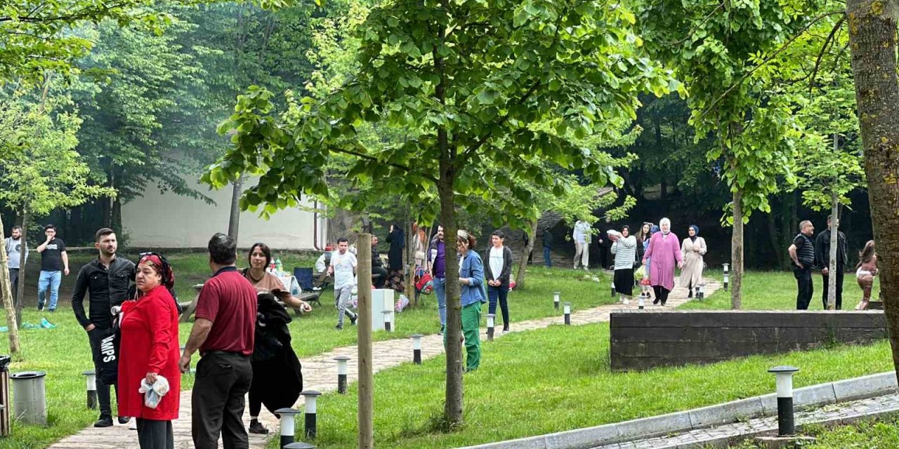 Oylarını kullanıp pikniğe koştular
