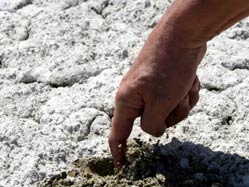 2 Şubat Dünya Sulak Alanlar Günü