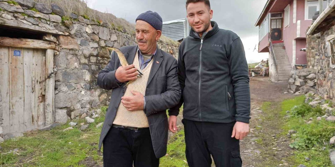 Bitkin bitkin halde bulunan balaban kuşu tedaviye alındı