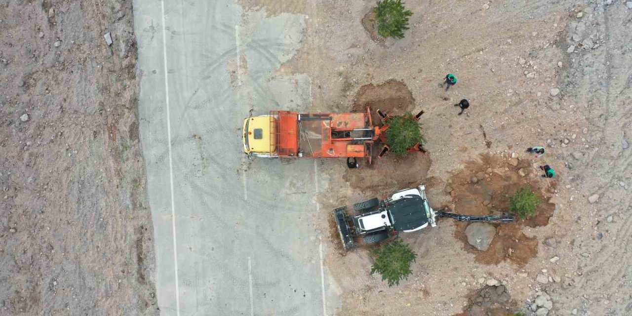 Büyükşehir, Mimarsinan OSB Kavşağı ile refüjleri ağaç taşıma yöntemi ile ağaçlandırıyor