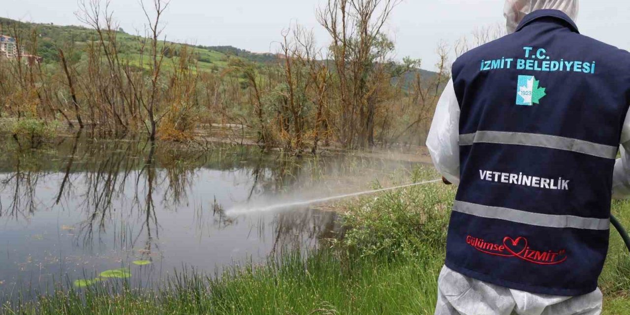 Sıcaklıkların gelmesiyle larva ile mücadele çalışmaları başladı
