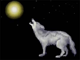 'Erdoğan sonun yakın, kelleni alacağız!' VİDEO