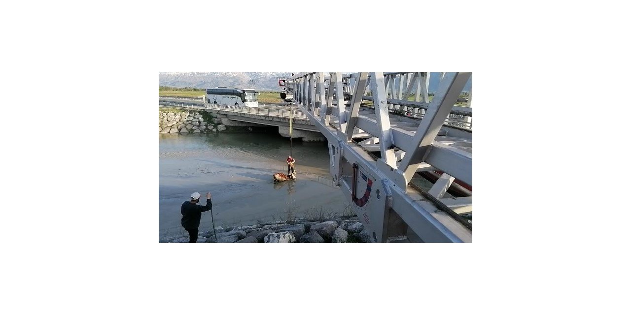 Bataklığa saplanan ineği itfaiye kurtardı