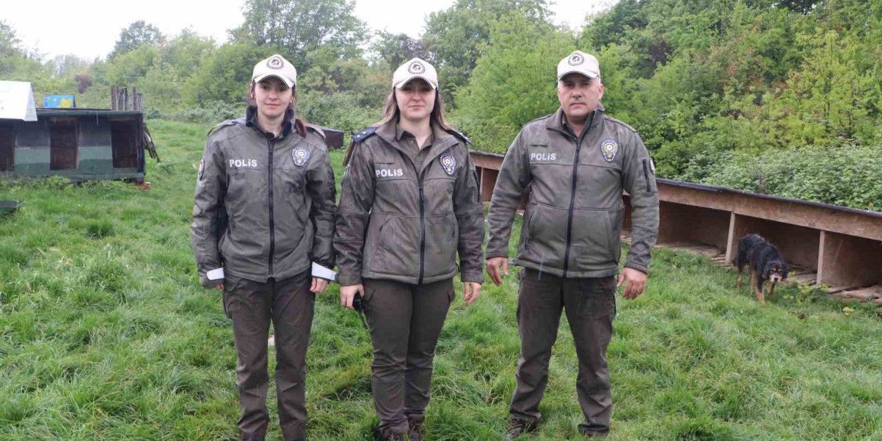 HAYDİ polisleri ile sokak hayvanları ’emniyet’te