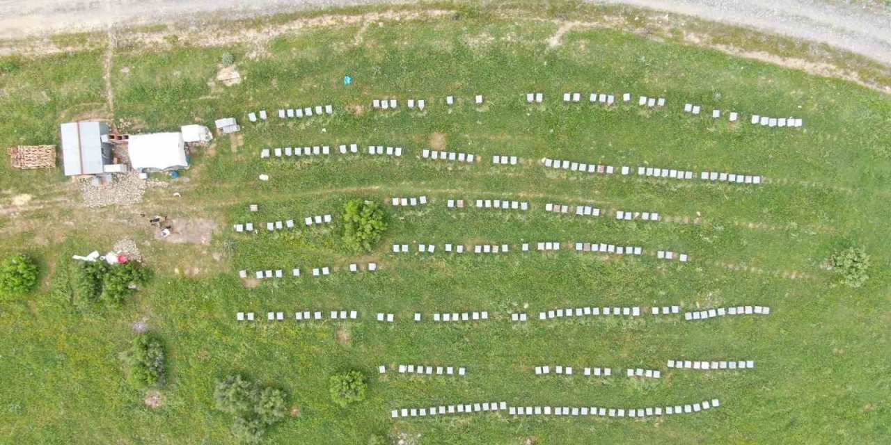 Aylardır Diyarbakır’da olan gezgin arıcı 2,5 ton rekolte bekliyor