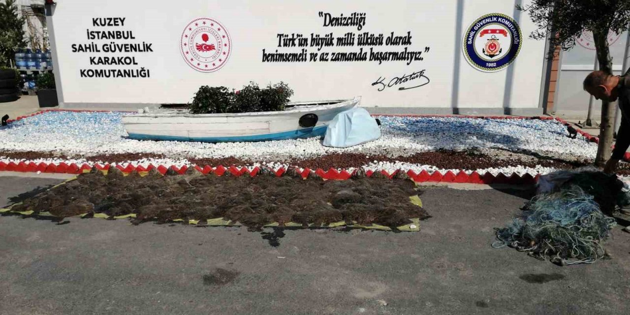 İstanbul yasadışı avlanan yarım ton kalkan balığı ele geçirildi