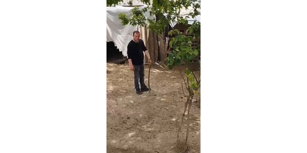 Bursa’da bahçesine giren yılanı elleriyle yakaladı