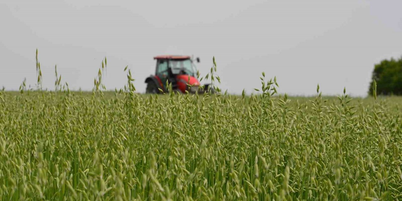 Saray’da ’tarla günü’ düzenlendi