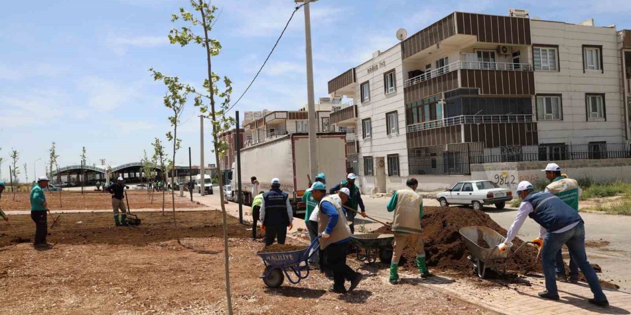 Haliliye’de parklar güzelleşiyor