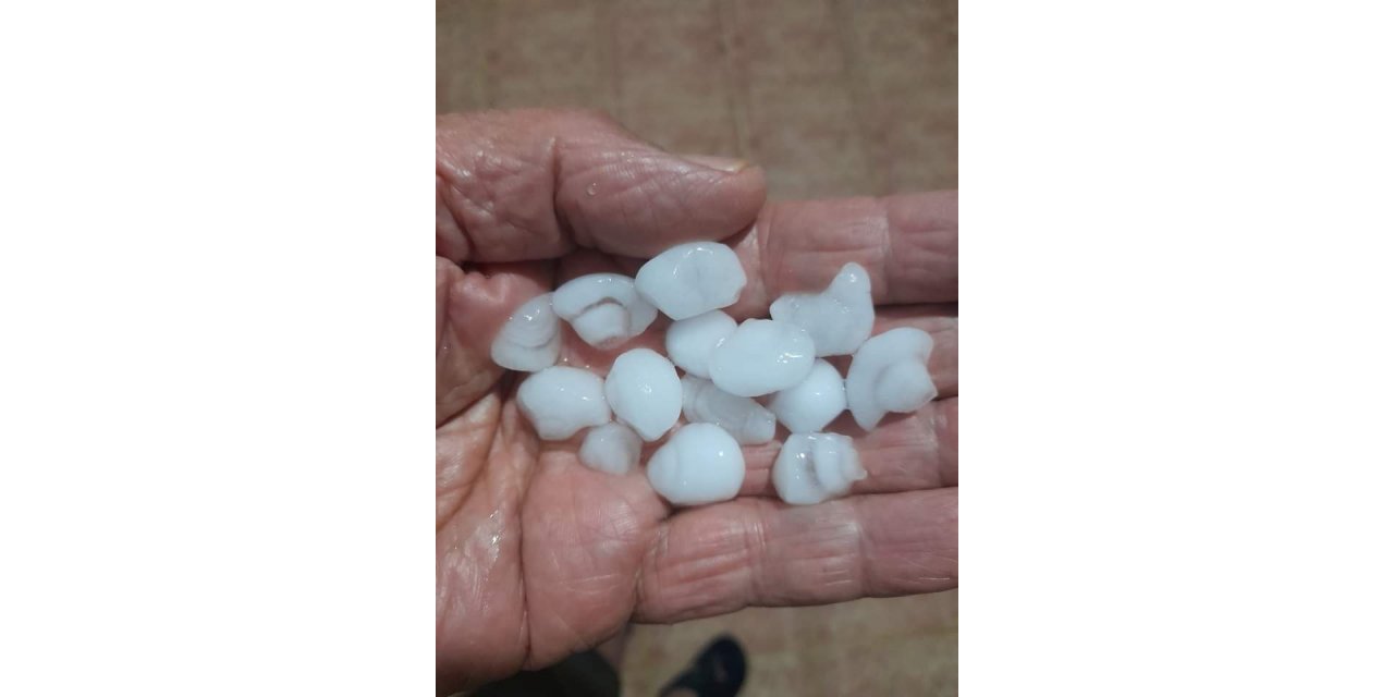 Sarıgöl’de dolu zararı