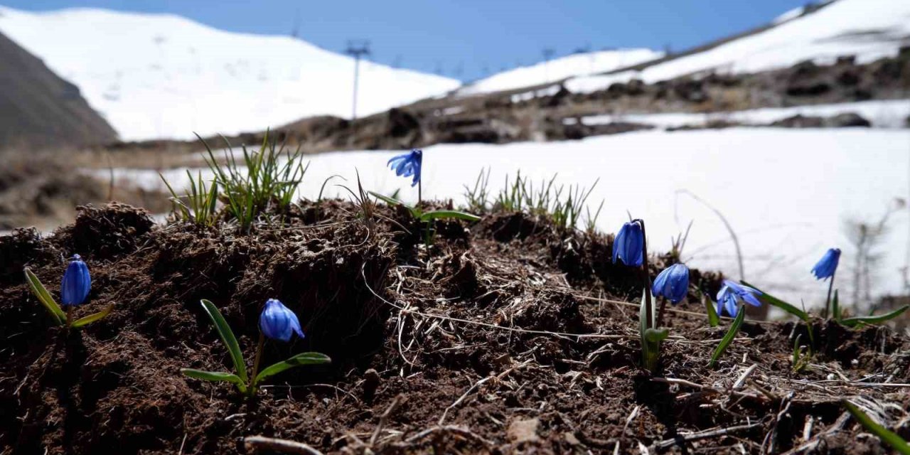 Palandöken’de mayıs ayında kar topu keyfi