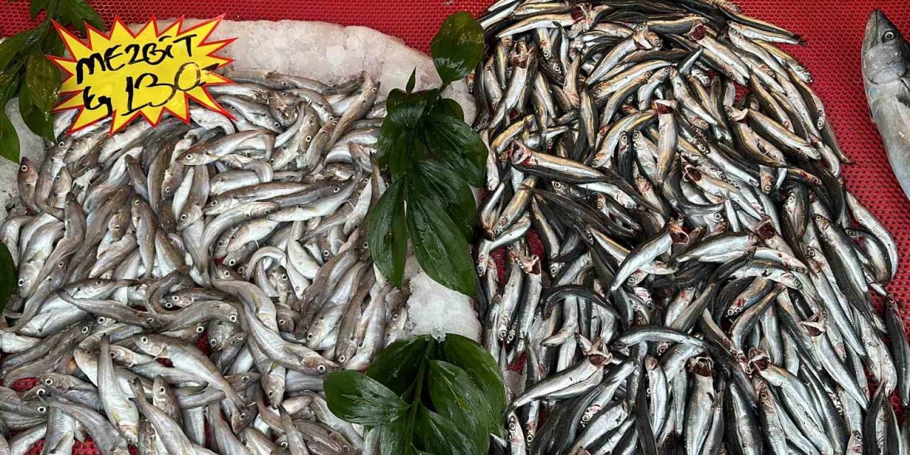 Av yasağı ve olumsuz hava koşulları tezgahı etkiledi