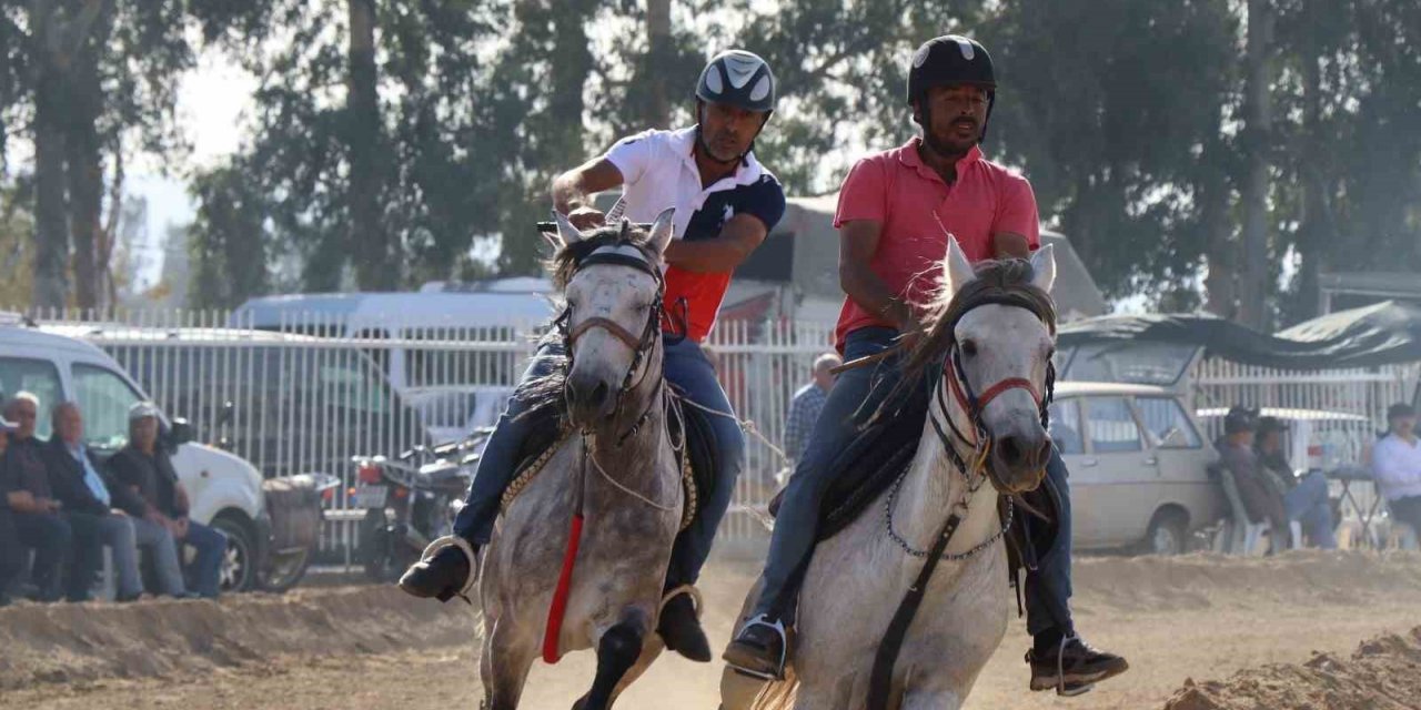 Yenipazar’da rahvan at yarışı heyecanı yaşanacak