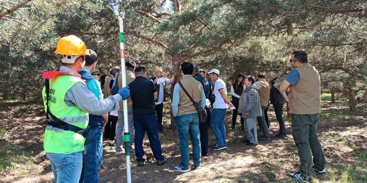 5 farklı ülkeden gelen temsilciler Kastamonu’daki tohum bahçelerini gezdi
