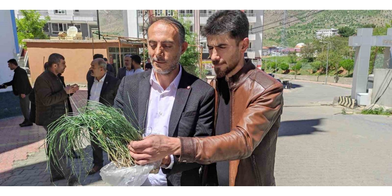 Vatandaşlar zuzubak otunun coğrafi işaretle tescillenmesini istiyor