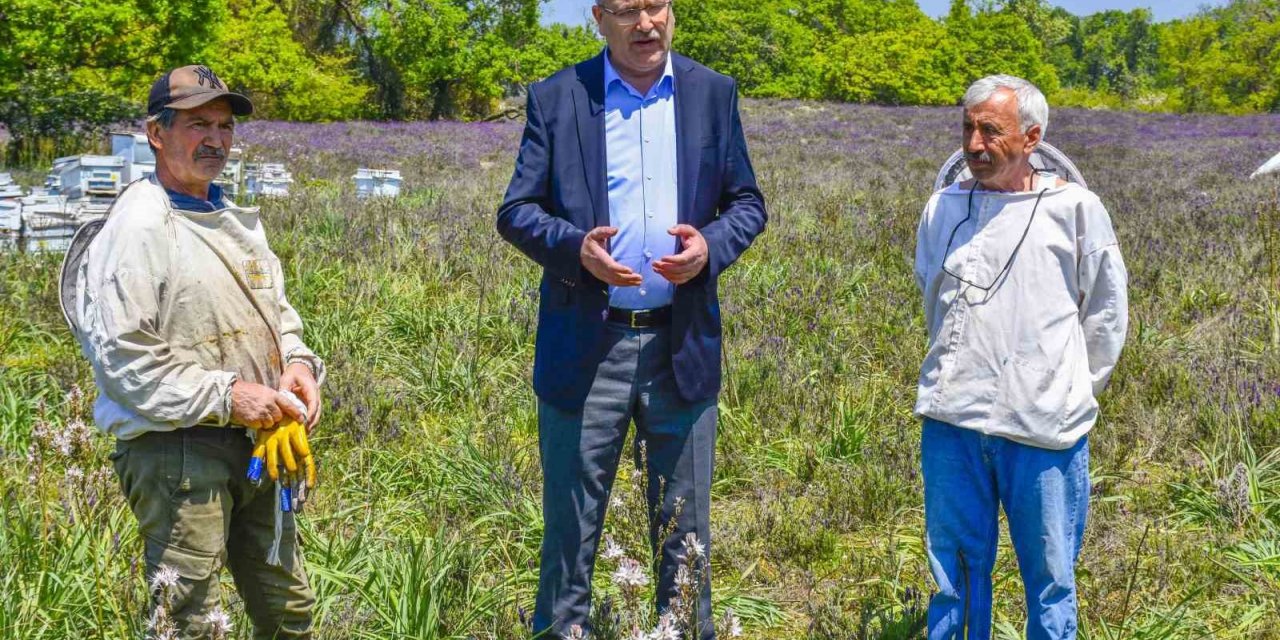 Karacabey’de Longoz ormanlarında görsel şölen
