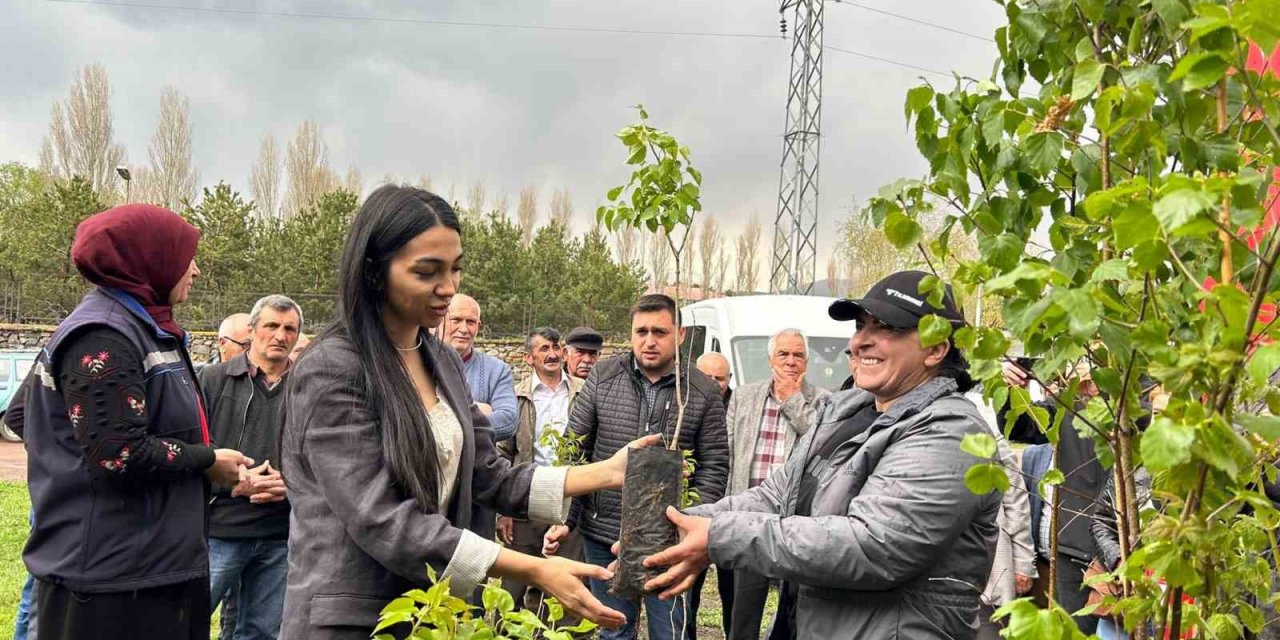 Ardahan’da arı yetiştiricilerine fidan verildi