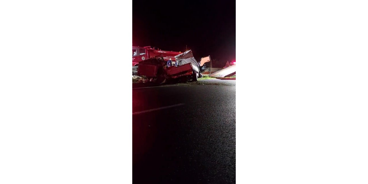 Tavuk yüklü kamyonet devrildi: 1 ölü