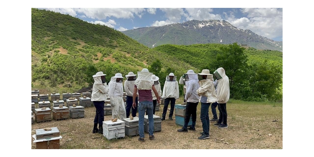 Şemdinli’de arıcılık kursuna yoğun ilgi